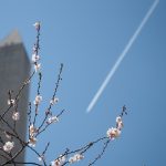 thaw-out-your-ac-a-spring-maintenance-checklist thaw-out-your-ac-a-spring-maintenance-checklist